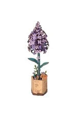 ROKR - ROWOOD Lilac TW021