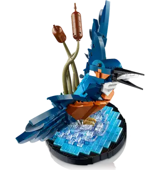 10331 King Fisher Bird