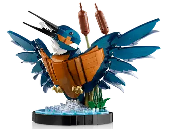 10331 King Fisher Bird