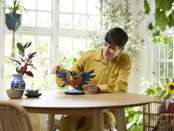 10331 King Fisher Bird