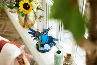 10331 King Fisher Bird