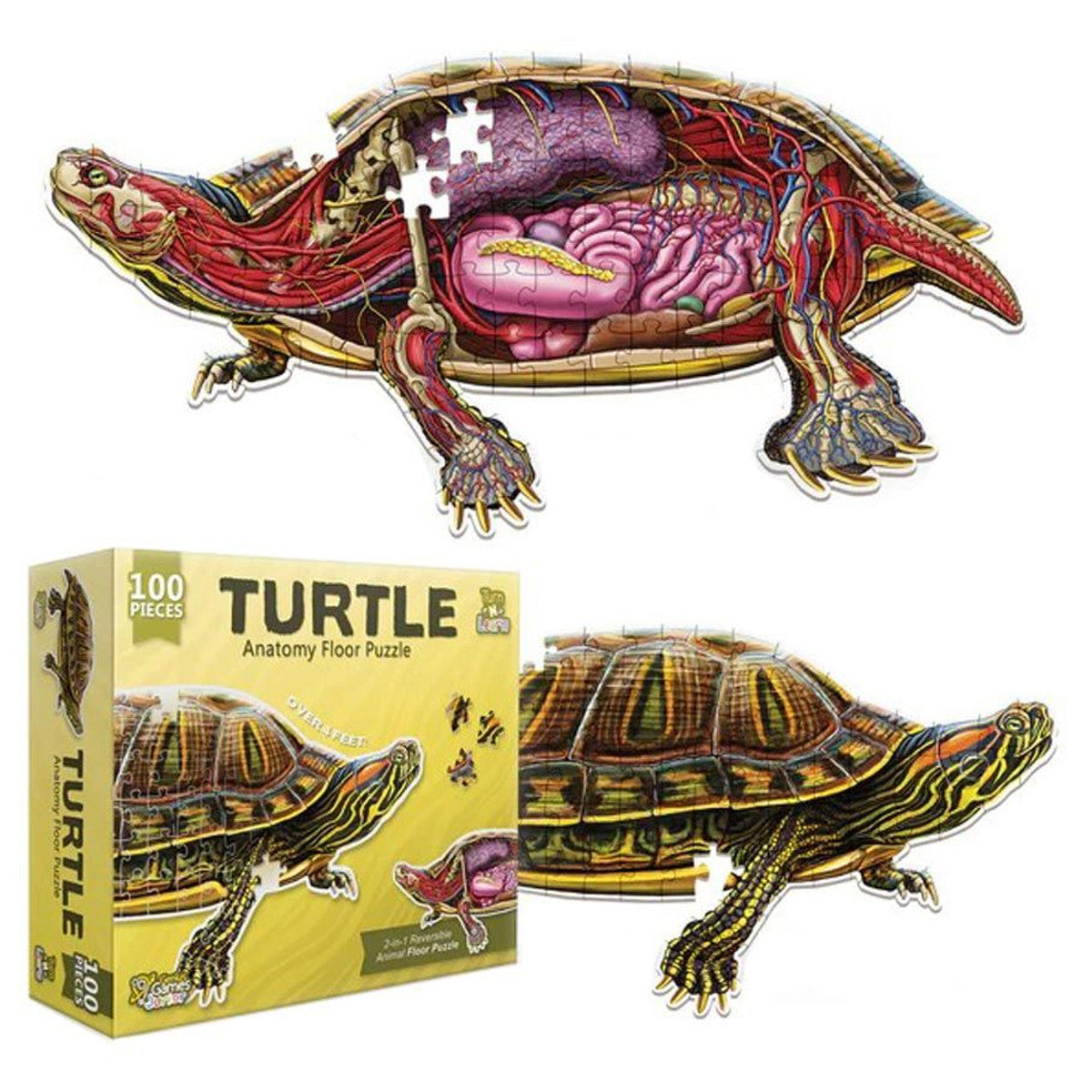 Turn N Learn: Turtle 100pc