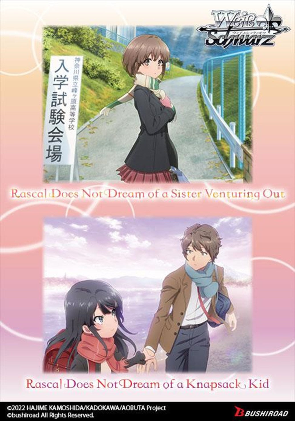 Anime collectible cards featuring characters from the 'Rascal Does Not Dream' series, with one card showing a character in a black dress and the other in a brown coat, indicating different scenes or characters from the anime movies.